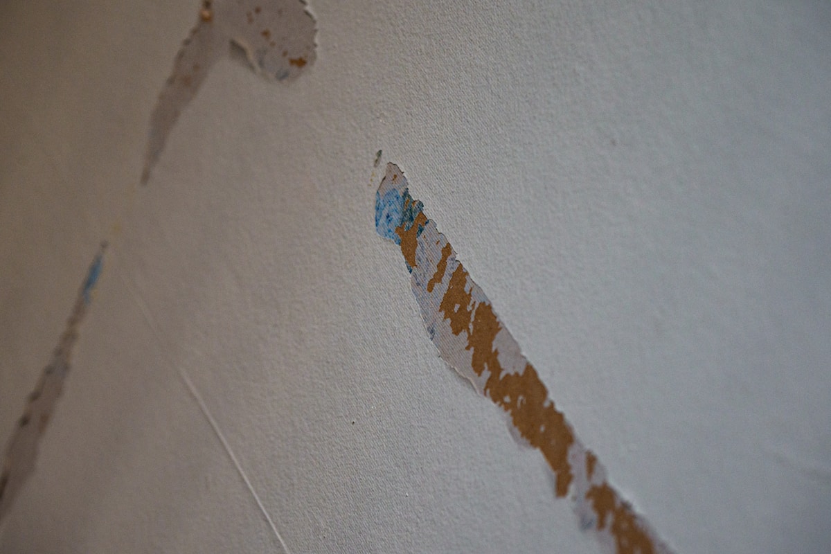 Basement Water Removal service in Victoria, TX